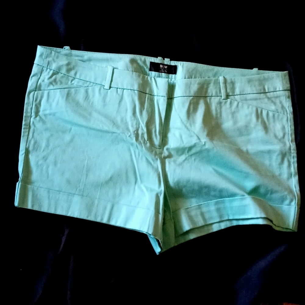 Shorts - Picture 2 of 2